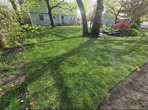 Backyard Lawn Makeover in Tenafly