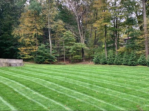Kentucky Bluegrass Backyard in Morristown