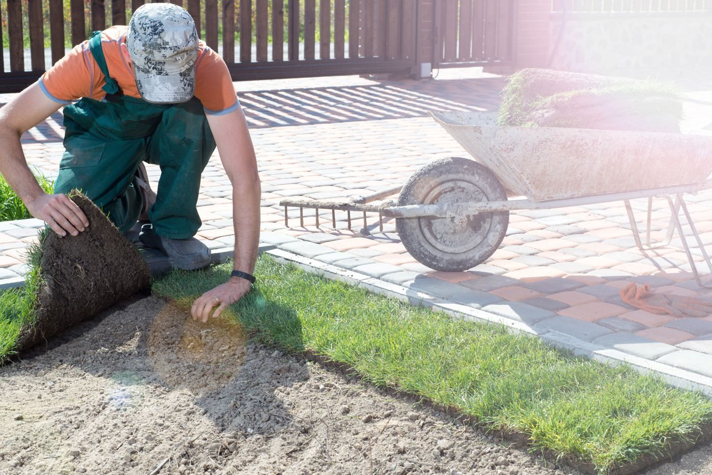 laying fresh sod