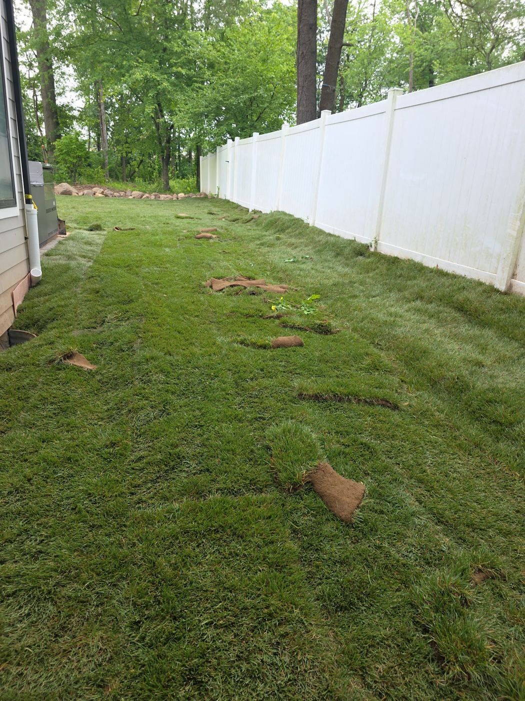Seasonal Care Tips After Zoysia Sod Installation in New Jersey