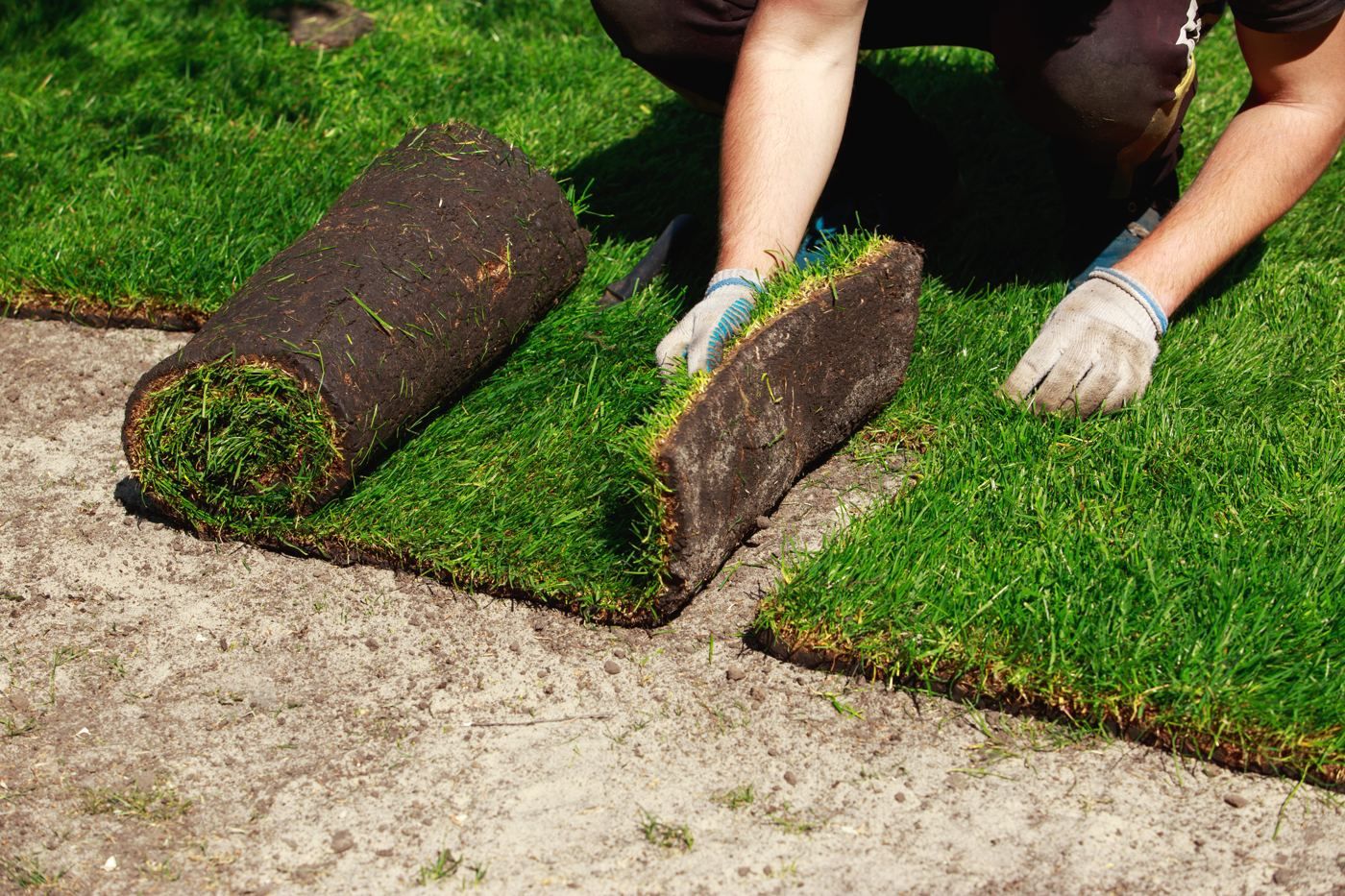 Fresh sod installation for a New Jersey lawn, relevant to Essex County NJ sod projects