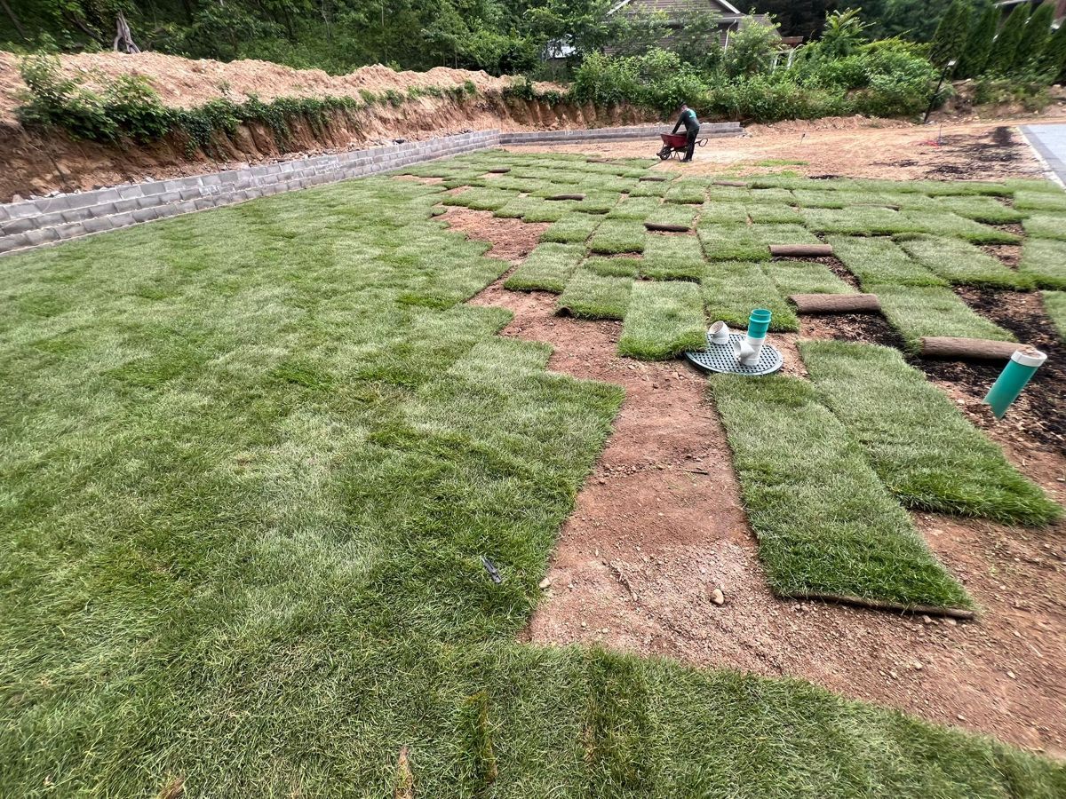 Sod Installation