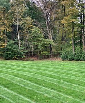 Finished New Jersey lawn after sod installation, relevant to Middlesex County timing, soil prep, and watering guidance