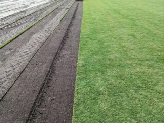 sod farm being harvested