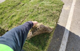 pallet of sod