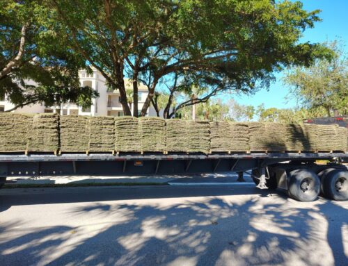 What To Expect When Scheduling Sod Delivery for your New Jersey Lawn