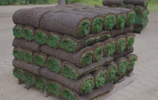 Fresh sod pallets staged for New Jersey landscaping contractors