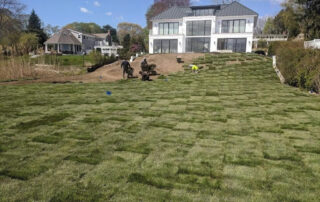 long island sod project