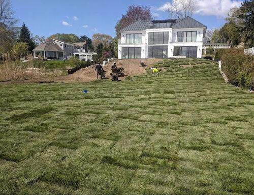 Why New Jersey Homeowners Love Zoysia Sod: Benefits for the Garden State Climate