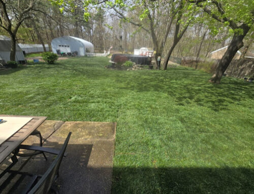 Fall Sod Installation in NJ: Smart or Risky?