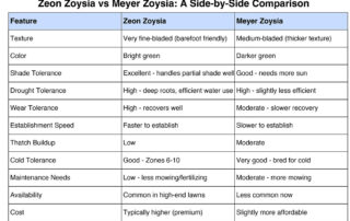 Zoysia sod comparison guide for New Jersey lawn selection