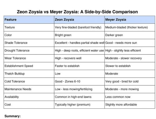 Why Zoysia Sod Delivery is a Smart Investment for New Jersey Lawns