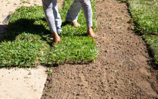 laying down new sod for home in New Jersey