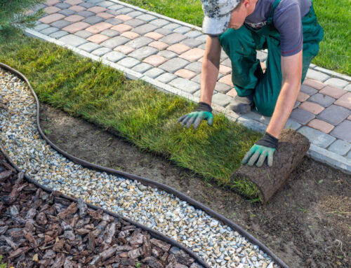 When to Install Sod in New Jersey: Best Seasons by County