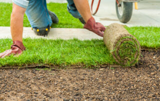 laying down sod in New Jersey yard