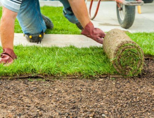 How to Estimate Sod for Your New Jersey Property: Step-by-Step Guide