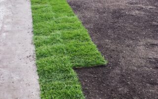 New Jersey sod project