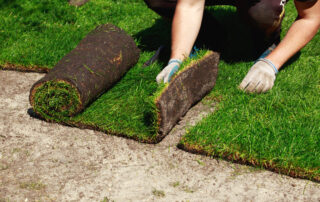installing sod for New Jersey home