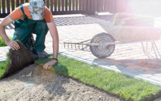 laying fresh sod