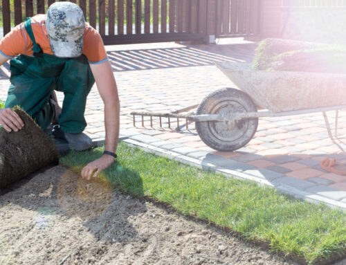 How to Repair Uneven Patches with Fresh Sod
