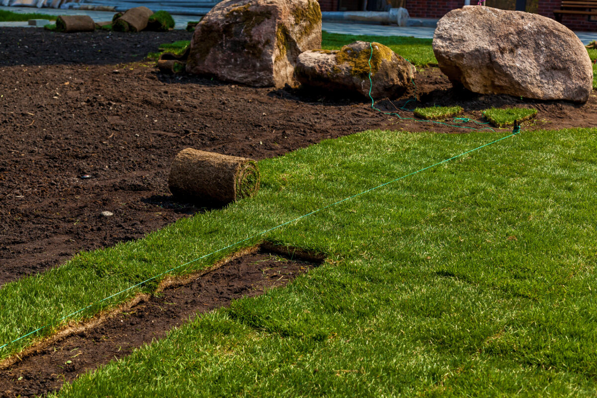laying sod in rolls