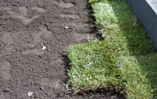 laying down sod for home in NJ