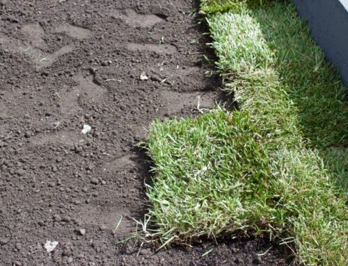 Sod Installation in Camden County NJ: Timing, Soil Prep, and Delivery Tips