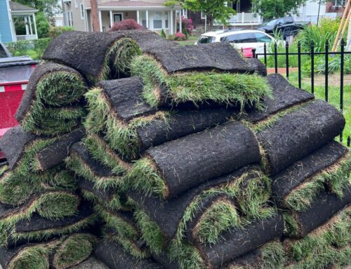 What to Expect During Full-Service Sod Delivery & Installation in New Jersey