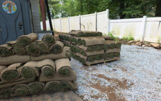 rolls of sod for sod replacement
