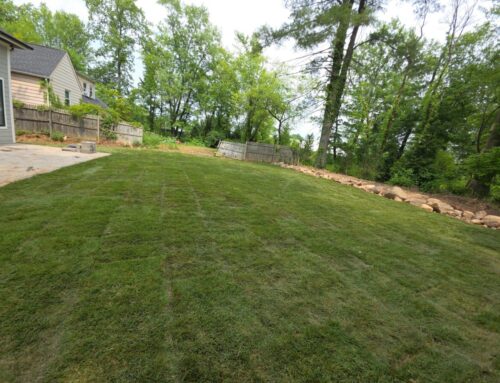 Zoysia Grass Sod vs. Other Sod Varieties: Which Is Best For Your New Jersey Lawn?