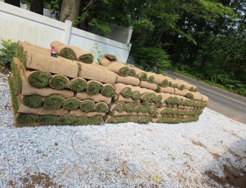 How a Sod Delivery Service Works For Residential and Commercial Projects