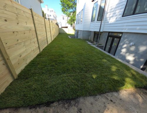 New Construction Sod Installation in New Jersey: Builder & Homeowner Guide