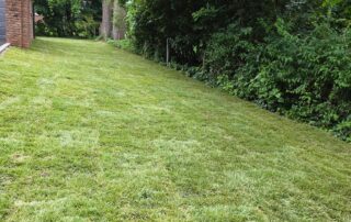 Fresh New Jersey lawn after sod installation, ready for first-month watering schedule