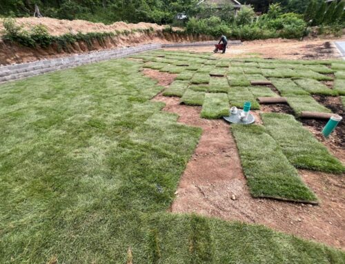 Why New Homeowners Are Choosing Sod Over Seed in New Jersey
