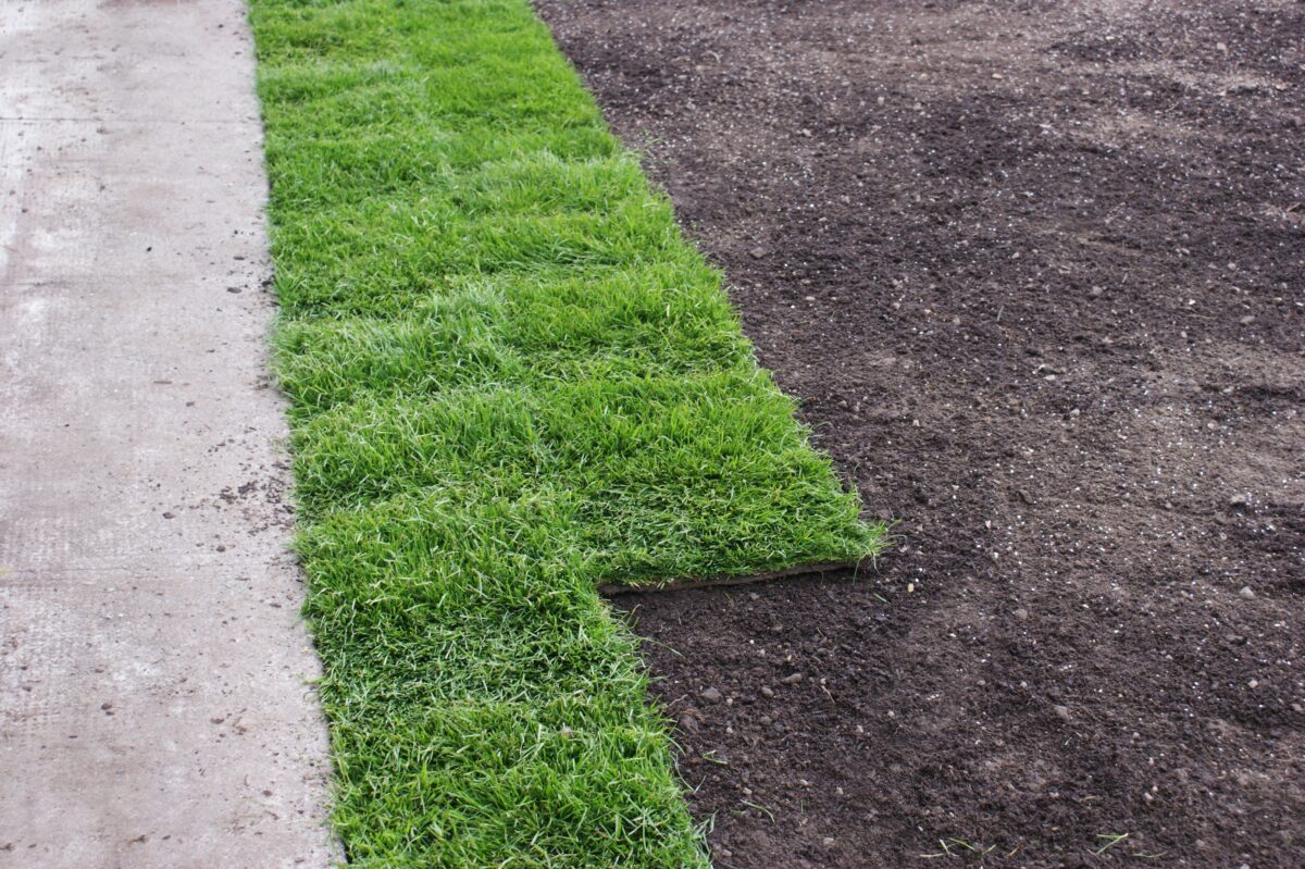 fresh sod being installed
