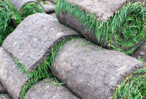 Fresh sod delivery pallets staged for a Bergen County New Jersey lawn project