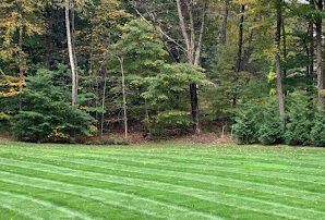fresh sod delivery and installation