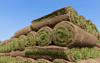 pallet of sod being delivered