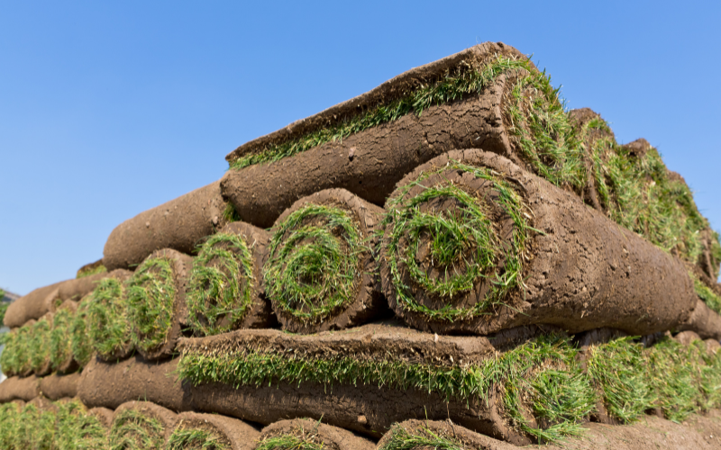 pallet of sod pallet of sod being delivered