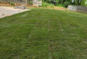 Fresh sod installation in a residential lawn